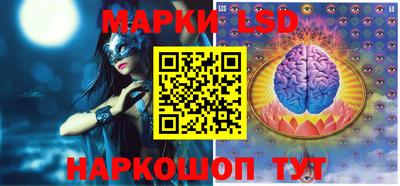 индика Гатчина