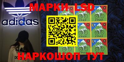 индика Гатчина