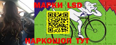 индика Гатчина