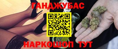 индика Гатчина