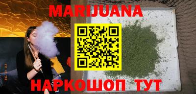 индика Гатчина