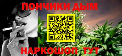 индика Гатчина