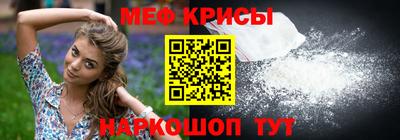 индика Гатчина