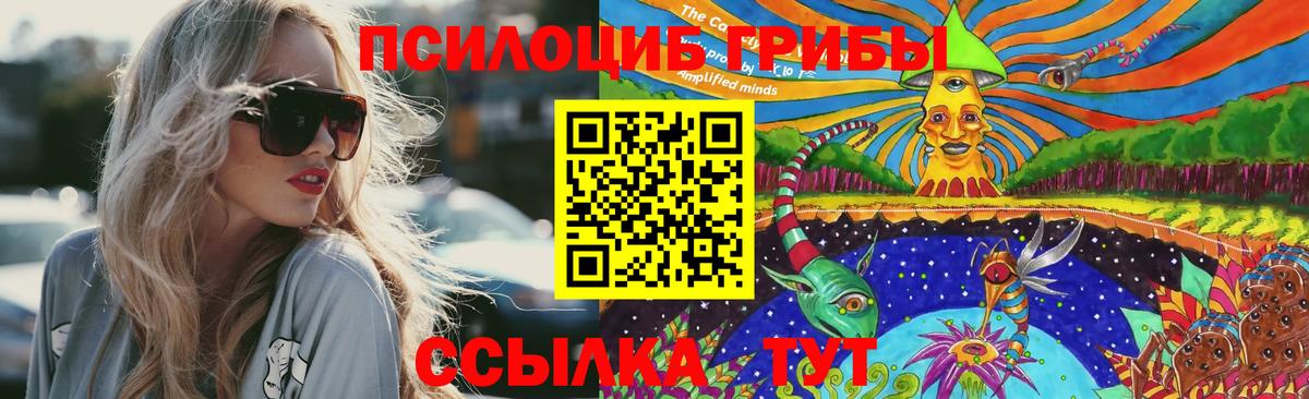 Псилоцибиновые грибы Psilocybine cubensis Мытищи