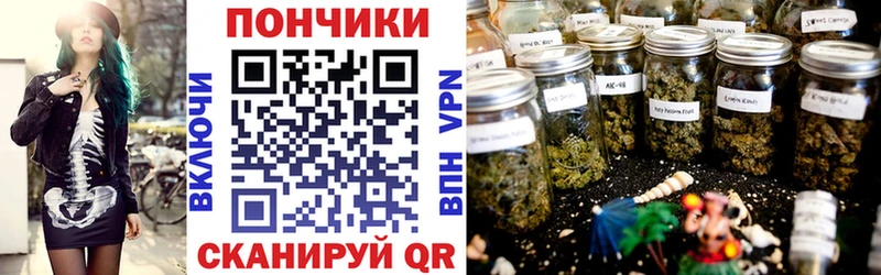 Бошки марихуана план  наркота  Мытищи 